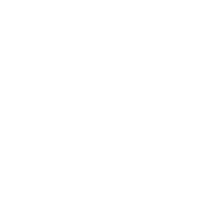 SPILLER PARTNER - REAS